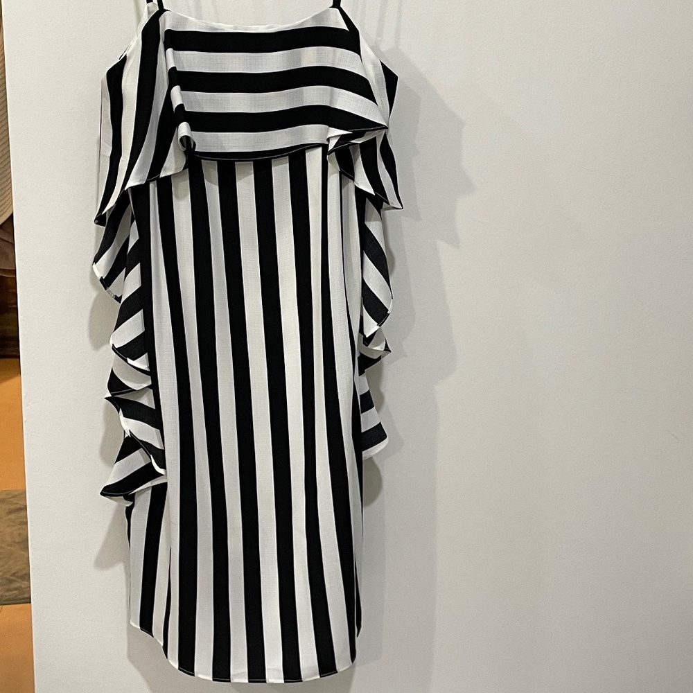 Nicole miller dress